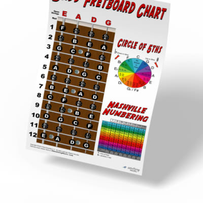 4 String Bass Fretboard Instructional Chart Poster Nashville Numbering Theory 11x17 Beginner Easy image 1