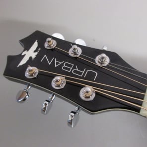 Keith Urban Light the Fuse Acoustic/Electric Guitar image 5