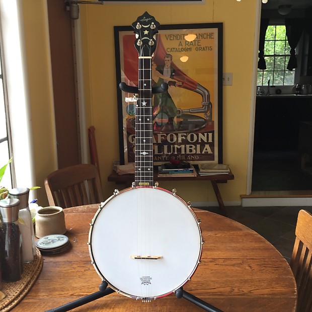 Short on sale neck banjo