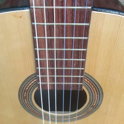 Vintage Hy-Lo Classical Guitar, Made in Japan by Hoshino Gakki, 1960s-70s image 6