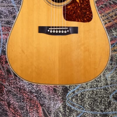 USED Gallagher G-70 COPY image 2