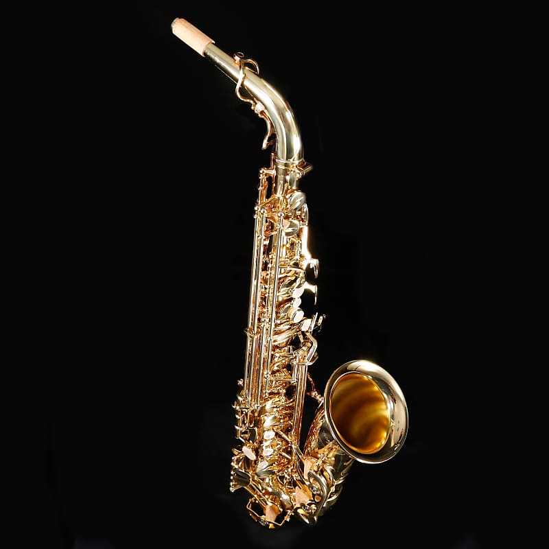 Yanagisawa awo10 2024 alto saxophone