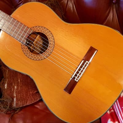 Takamine Flamenco 1999 | Reverb