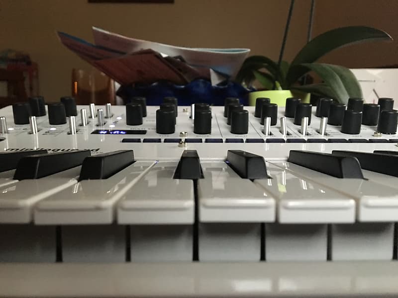 Korg Minilogue xd PW 2019 Pearl White