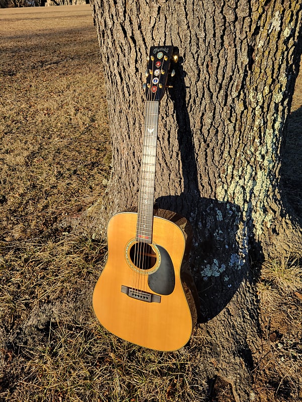 2002 Martin DVM Model Acoustic Guitar Veterans Special Reverb
