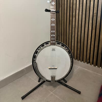 Tanglewood TWB 18 M5 5-String Banjo w/Hardcase for sale