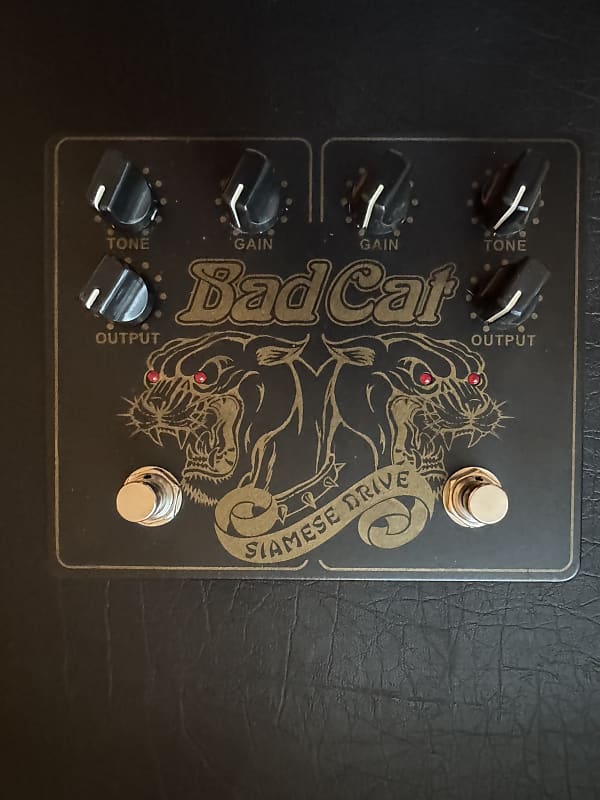 Bad Cat Siamese Dual Drive – Chicago Music Exchange