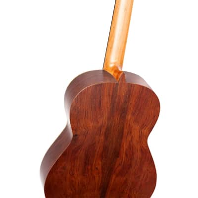 Ortega Traditional Series R180 Classical Guitar, Solid North American Cedar Top, 52mm Nut image 6