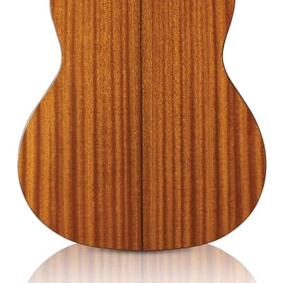 Cordoba C5 - Dolce - ⅞ Size Classical Guitar - Iberia Series - Natural image 2