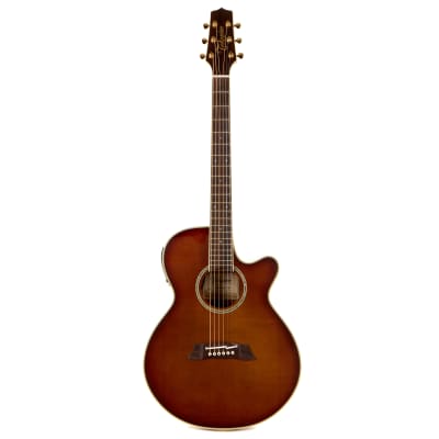 【新品未使用】Takamine/100 Thinline TSP138C ギター TSP138C TBS｜100シリーズ Thinline｜エレクトリック