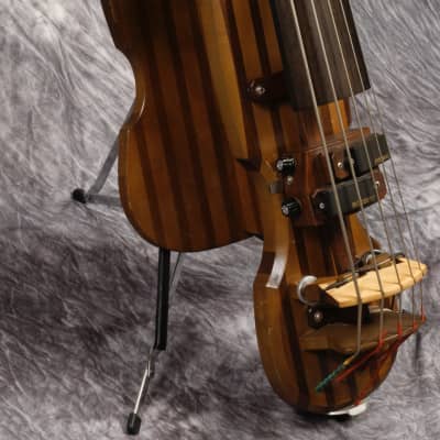 Banchetti Practical Bass 5 String (USED) image 2