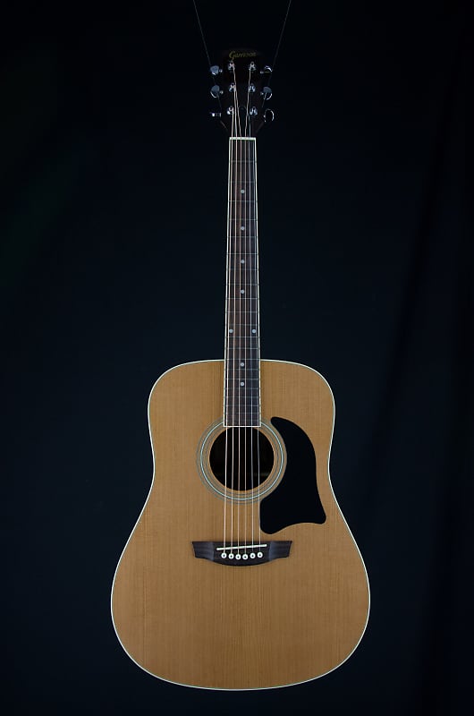 Garrison AG-400 Acoustic Guitar, Hardcase | Reverb
