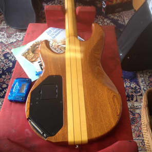 Roland Gr-88 1970 Stain and natural original pin stripe image 2