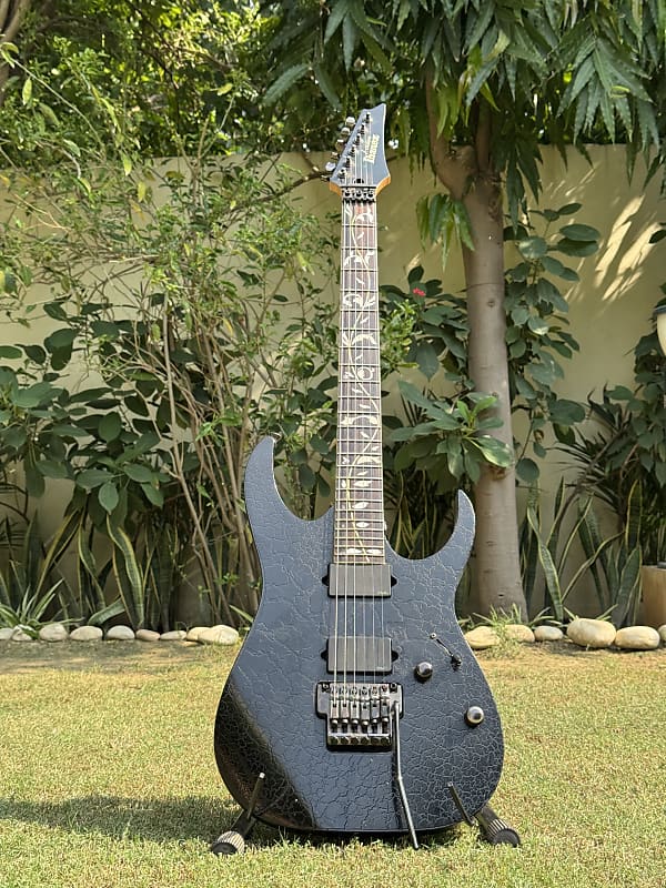 ハードケースのみ Ibanez USA custom アイバニーズ ストラト ibanez ギター