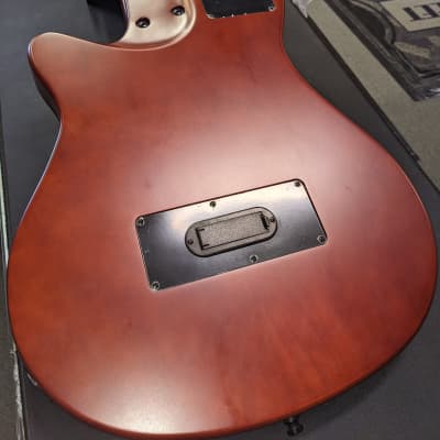 Godin Multiac Grand Concert Nylon image 12
