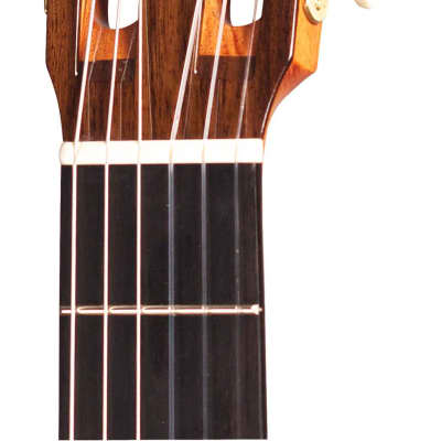 Loriente Clarita Classical Guitar Cedar/Indian Rosewood image 8