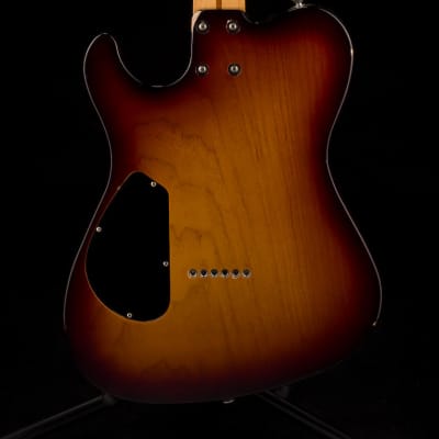 Asher T-Deluxe Tobacco Sunburst with Gig Gag image 12