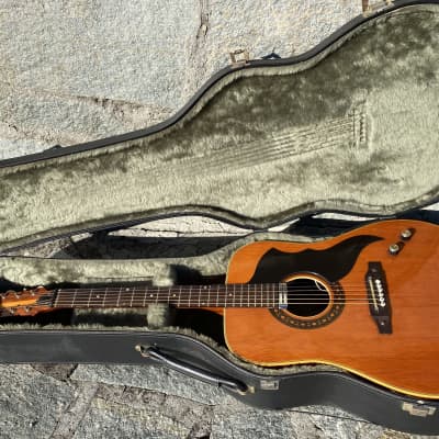 イタリア製 EKO Ranger 6 1960年代製 イタリア製 EKO Ranger 6 1960年代製