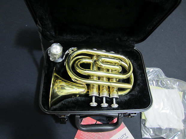 Stagg pocket trumpet deals
