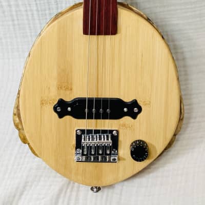 Turtle shell 4 string fretless slide guitar image 1