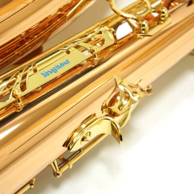 Free shipping! 【Special price】 Yanagisawa T-WO2(TWO2) Bronze Tenor Saxophone image 18