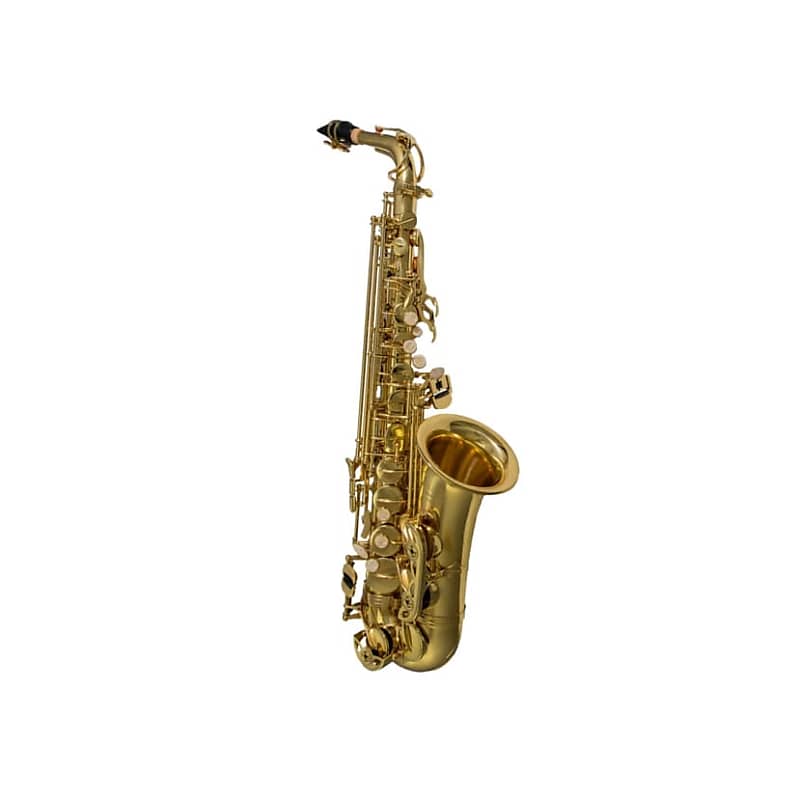 Cecilio 2Series AH-280N Eb Alto Horn With Stainless Steel