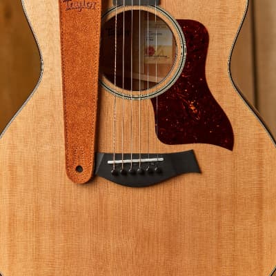 Taylor 2.5" Embroidered Suede Strap - Honey image 2