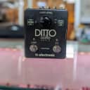 TC Electronic Ditto X2 Looper (Used)