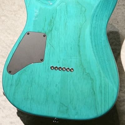 T's Guitars DTL-22 Custom[USED][Made in Japan] | Reverb
