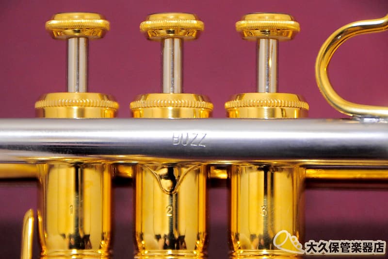管楽器・吹奏楽器 CADESON TR2000GP Cadeson TR-2000GP “Shu” w/BUZZ Leadpipe B♭ Trumpet | Reverb