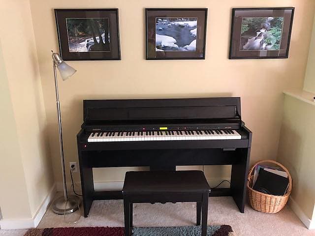 Electric Piano, Suzuki DP-1000, Weighted 88 keys | Reverb