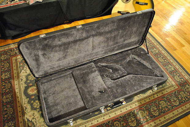 Epiphone Explorer Case