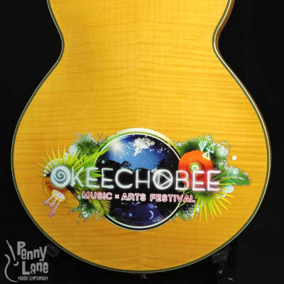 D'Angelico EX-SS 2016 Okeechobee Music & Arts Festival Signed Electric Guitar With Case image 4