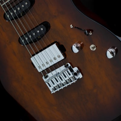 FGN Guitars J Standard Odyssey Imbuia Top on Ash body - Imbuia Brown Sunburst (IBS) image 4