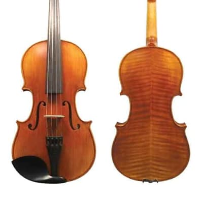 Antique Josef Jan Dvorak Handcrafted Violin 4/4 Strunal | Reverb