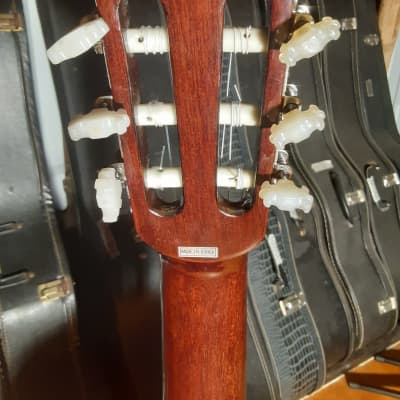 Vintage Ventura V-1584 Classical Nylon String Guitar, Gig Bag, Tuner, Picks image 17