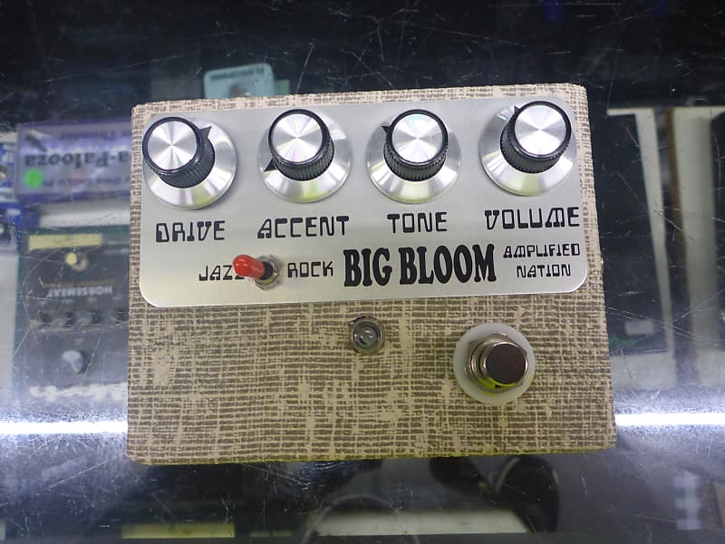 Amplified Nation Big Bloom | Reverb