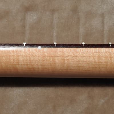 Allparts SRTF-C Stratocaster Rosewood Neck Thin Satin Finish 12" Radius C Profile 21 Tall Frets #1 image 12