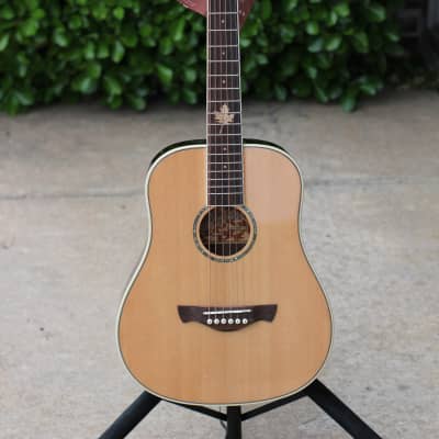 Tagima Canada Series Fernie Baby Acoustic Guitar Natural Finish image 2