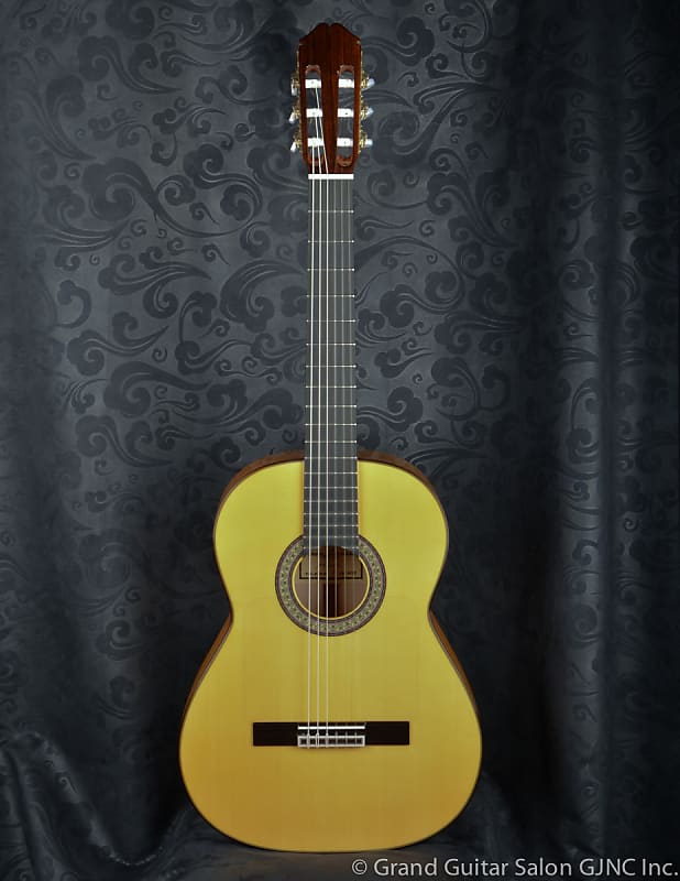 Raimundo deals flamenco guitar