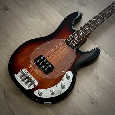 Sterling by Music Man StingRay 4-String Bass, Spalted Maple, 3-Tone Sunburst, Roasted Maple Neck (New for 2024) image 3