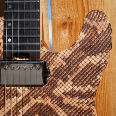 ESP USA TE-II Hardtail Snakeskin 6-String Electric Guitar w/ Form Fit Case (#4 of 10 Made Worldwide) image 15