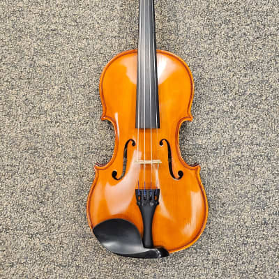 DZ Strad Violin Shop | Reverb