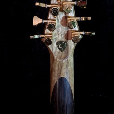 Grainger Guitars  Apollo 7 String, Lizard Green Seven String image 19