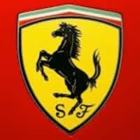 Speedo Ferrari Tube Shop
