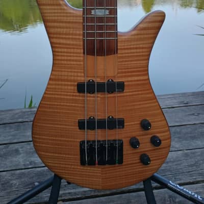SPECTOR NS 2J bass guitars