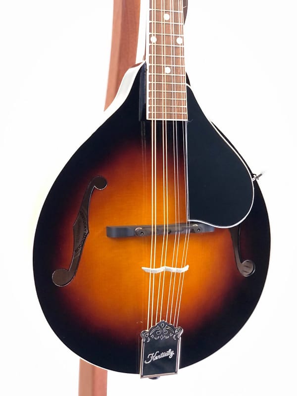Kentucky KM150 Mandolin w/Gig Bag & ProSetup Reverb