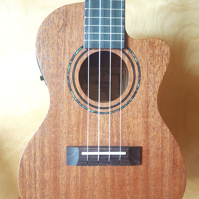 New Alvarez RU22CCE Concert Ukulele W Pickup