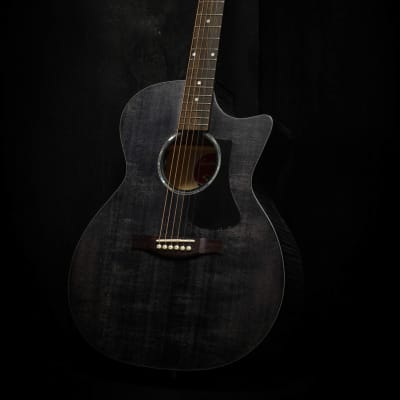 Eastman Guitars PCH3-GACE Limited Edition Black Stained Acoustic Guitar image 10