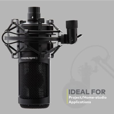  Audio-Technica AT2020 Cardioid Condenser Studio XLR Microphone,  Ideal for Project/Home Studio Applications,Black : Audio-Technica: Musical  Instruments